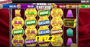 nnzz,nnzz.com